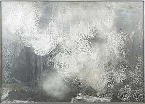 难以捉摸的银牌：满载的白色（1970） by Helène Aylon