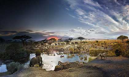 坦桑尼亚塞伦盖蒂国家公园——从早到晚 by Stephen Wilkes