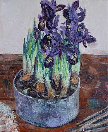 Irises（卡里城堡）（2019年） by Susan Wilson