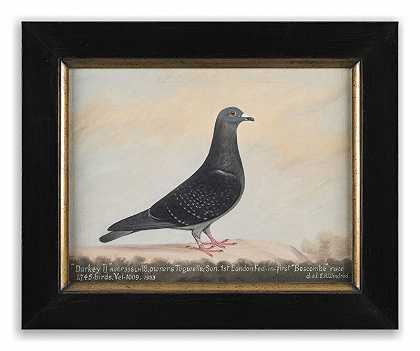 经典的一对天真的赛鸽肖像（英文——“1933”和“1934”） by Edward Henry Windred