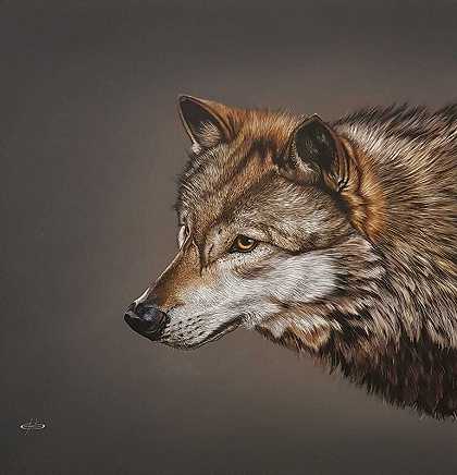 Wolf（2019） by Giovanni Confortini