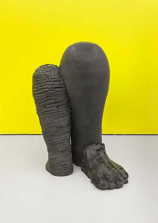 Pied（Foot）（2005） by Elsa Sahal