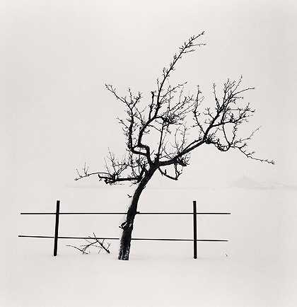 树篱，中村野，北海道，日本（2012） by Michael Kenna