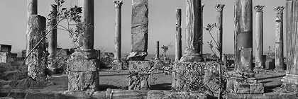 利比亚，西勒尼察的阿波罗尼亚，东部大教堂。它的高柱顶部是重复使用的柱头，由西波利诺大理石制成。公元5-6世纪。照片：2007年。（2007） by Josef Koudelka