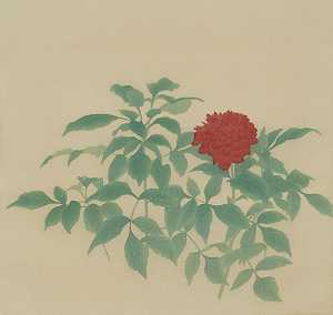 植栽寫生_大理花  Planting Sketch_Dali Flower (2020) by 詹琇鈐 Chan Hsiu-Chien