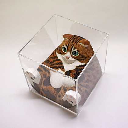 蜷缩在盒子里的猫（2020） by Makoto Nishi