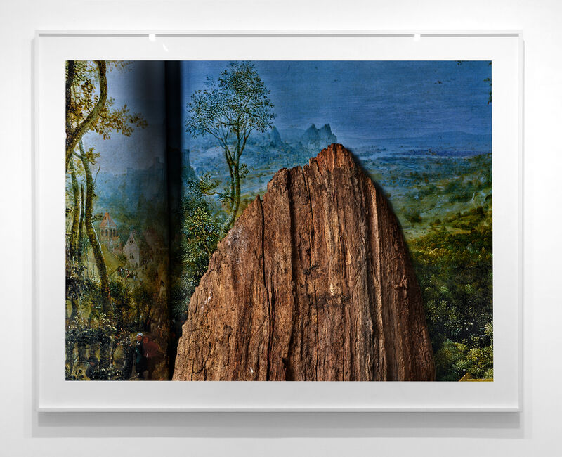 Pieter Bruegel上的Wood Chunk the Elder Book（2019） by Abelardo Morell
