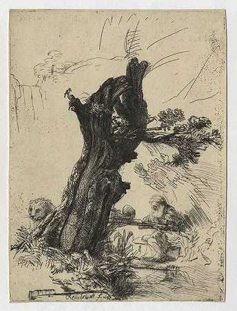 圣杰罗姆在一棵柳树旁（1648年） by Rembrandt van Rijn