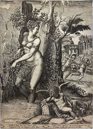 维纳斯与玫瑰（第二州）（1556） by Giorgio Ghisi
