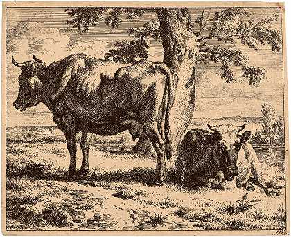 树下两头奶牛（约1670年） by Adriaen van de Velde