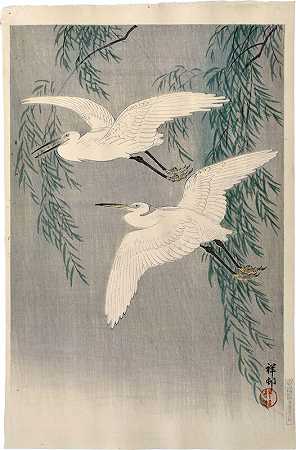 白鹭和柳树（约1926年） by Ohara Koson