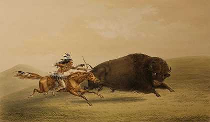 Chase水牛狩猎（1844） by George Catlin