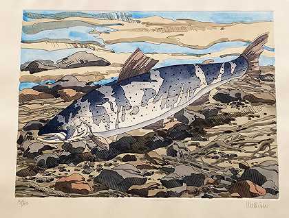 鲑鱼（1977） by Neil G. Welliver