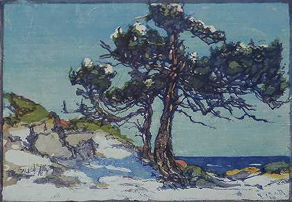 海岸雪松（2）（约1920年） by Margaret Jordan Patterson