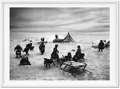 《创世记》《俄罗斯西伯利亚亚马尔半岛鄂博河以北》（2007年） by Sebastião Salgado