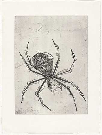 蜘蛛（1995） by Louise Bourgeois