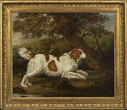 \\“Quaile\\”，一只生活在丛林中的英国猎犬 by Henry Bernard Chalon