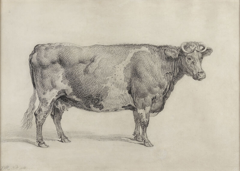 阿尔布斯诺特夫人的奶牛玛丽亚（1822） by James Ward