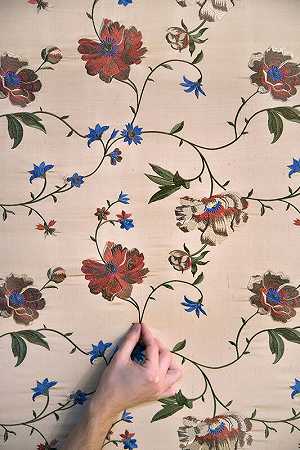 朱利安（Julien）以东方为灵感创作的彩绘丝绸嵌板，是18世纪“中国风”品味的一个杰出早期范例。普林西比别墅，安德里亚·多里亚宫，私人公寓（意大利热那亚）（2016年） by Julien Spiewak