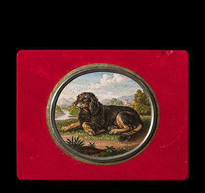 蹲着的猎犬肖像（1815-1820） by DOMENICO MOGLIA