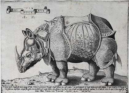 犀牛（1542） by Enea Vico