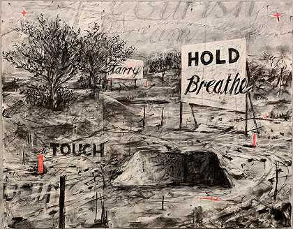 Hold Breathe Touch（来自工作室的自然历史）（2020年） by William Kentridge