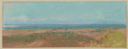 海边有灌木丛。（1892年后） by Auguste Lepère