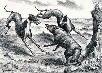 猎犬和郊狼（1931） by John Steuart Curry