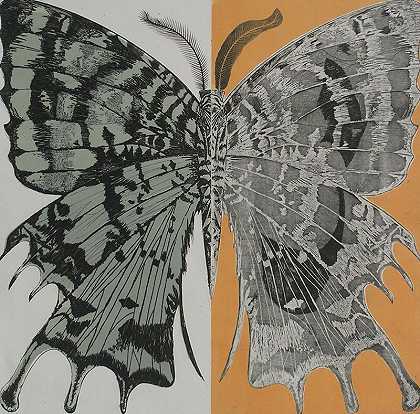 Moth（1947） by Fred Becker
