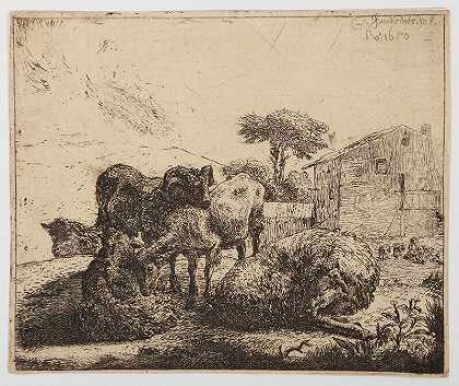 五羊一组（1650只） by Jacob van der Does
