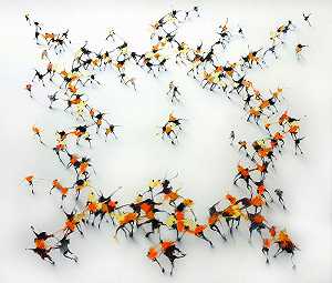 Swarm（2018） by Jonathan Huxley