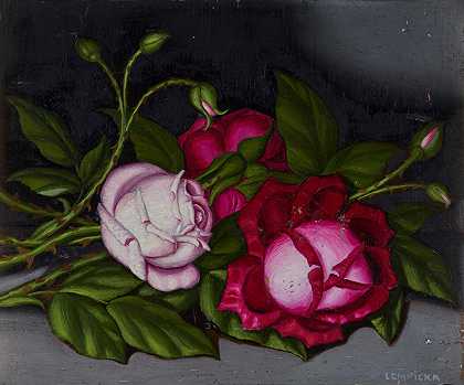 玫瑰 – 塔玛拉·德莱姆皮卡