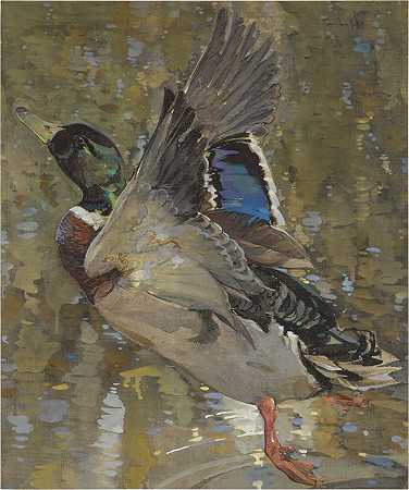 绿头野鸭 – 约瑟夫·克劳威尔，R.S.W。