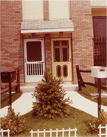 两栋住宅，两扇门，不同颜色，纽约州斯塔顿岛 – 丹·格雷厄姆