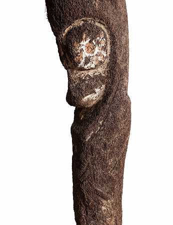 瓦努阿图群岛树蕨等级图 – 瓦努阿图群岛蕨类植物雕像-