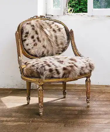 路易十六口味的扶手椅 – 19世纪末