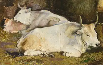 公牛 – 阿曼多-斯帕迪尼