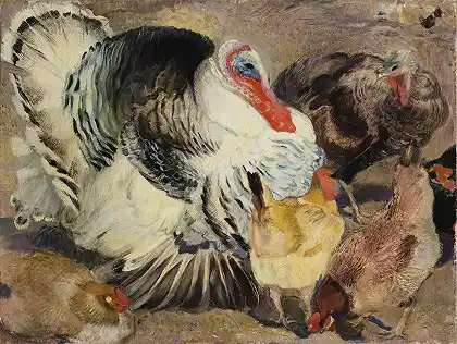火鸡和母鸡 – 阿曼多-斯帕迪尼