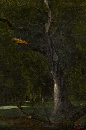 一棵枯树 – 让·巴蒂斯特·卡米尔·科罗