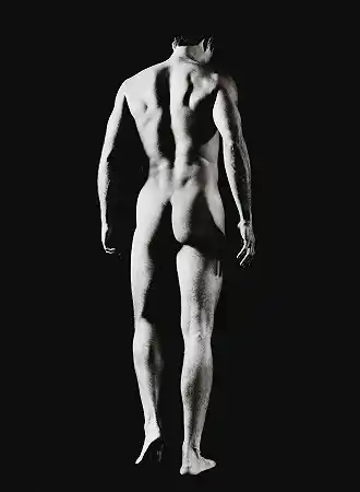 无标题裸体B71994 – 大卫·塞德纳