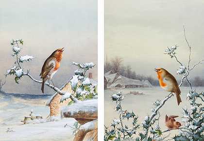 冬天——知更鸟；冬天——知更鸟和鹪鹩 – 哈利·布莱特