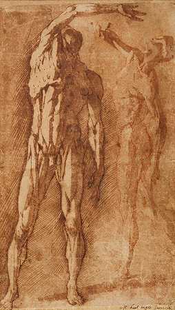 两项关于皮埃特罗·弗兰卡维拉之后剥皮男性裸体的研究 – 安德里亚·博斯科利–