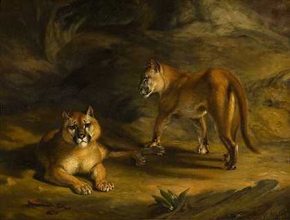 风景中的两只美洲狮 – 威廉·哈金斯–