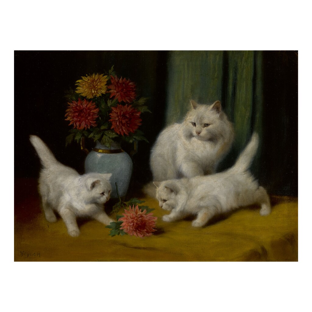 小猫们在玩一朵花 – 亚瑟海耶。