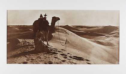 四张大幅面全景照片，描绘了旅行者和骆驼的沙漠场景。 – 莱纳特-兰德洛克酒店-