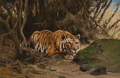 老虎追逐猎物 – 威廉库奈特