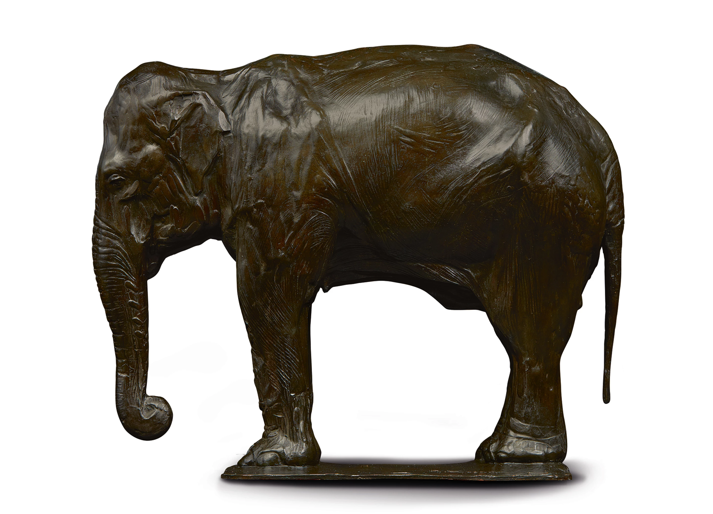 《靜立休息的大象》 – 林布蘭・布加迪