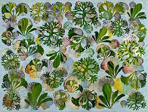 含贝壳和藻类的成分（2005） by Philip Taaffe