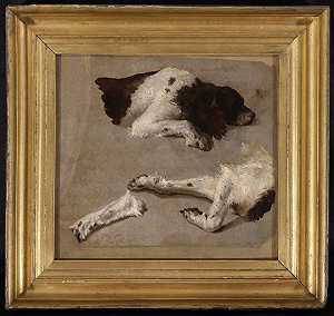 关于西班牙猎犬的各种研究（19世纪） by Ramon Martí y Alsina