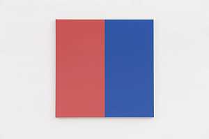 两种颜色（红色、蓝色）（2018） by Steven Aalders